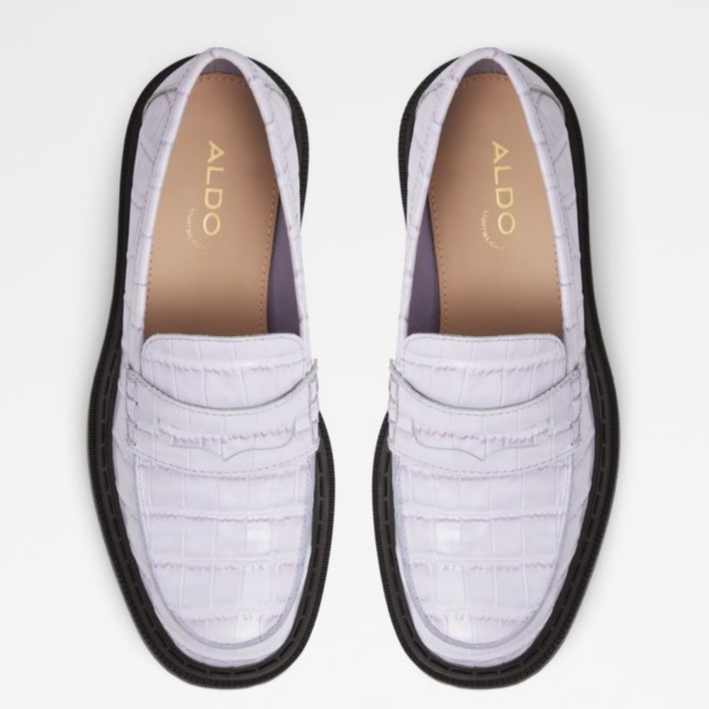 NWOB Aldo Bigstrut Loafer